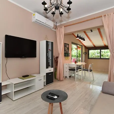 Little Monkey זאדאר