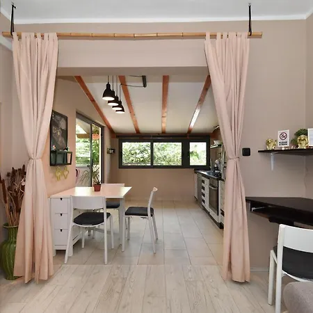 Little Monkey * זאדאר