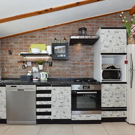 Little Monkey * זאדאר