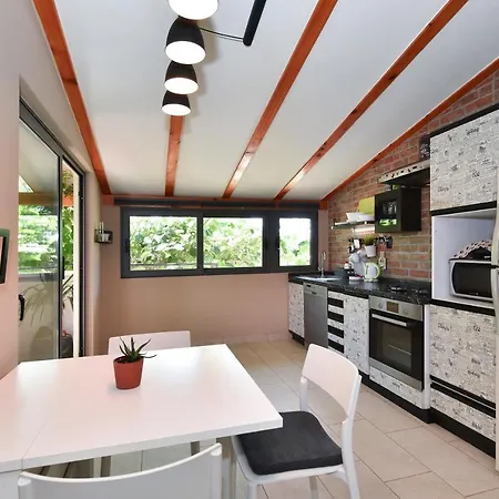 Little Monkey * Zadar