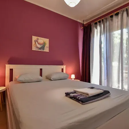 Little Monkey דירה זאדאר