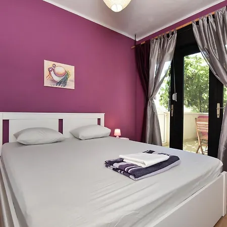 Little Monkey * זאדאר