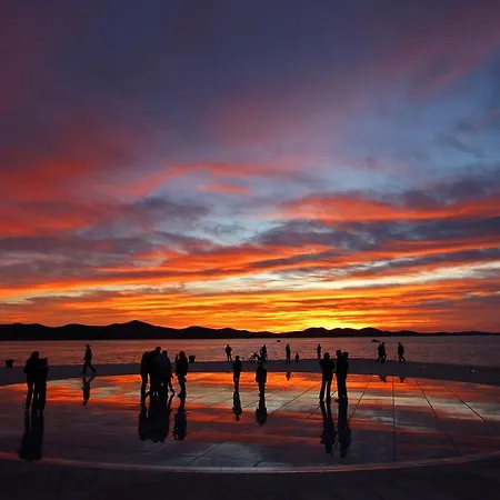 Little Monkey דירה זאדאר