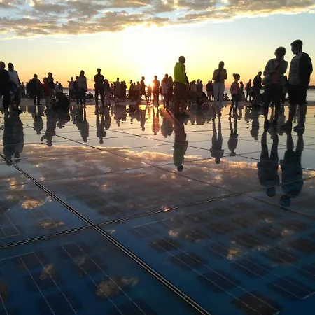 Little Monkey * זאדאר